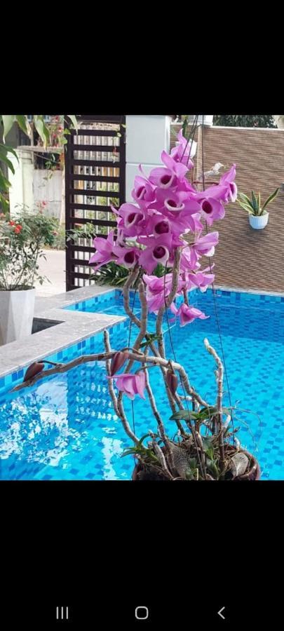 Riverlife Homestay Hoi An Exteriér fotografie